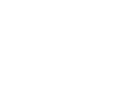 Vector