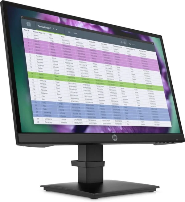 HP P22 G4 21.5" | 1920x1080 IPS | 60Hz | Monitor